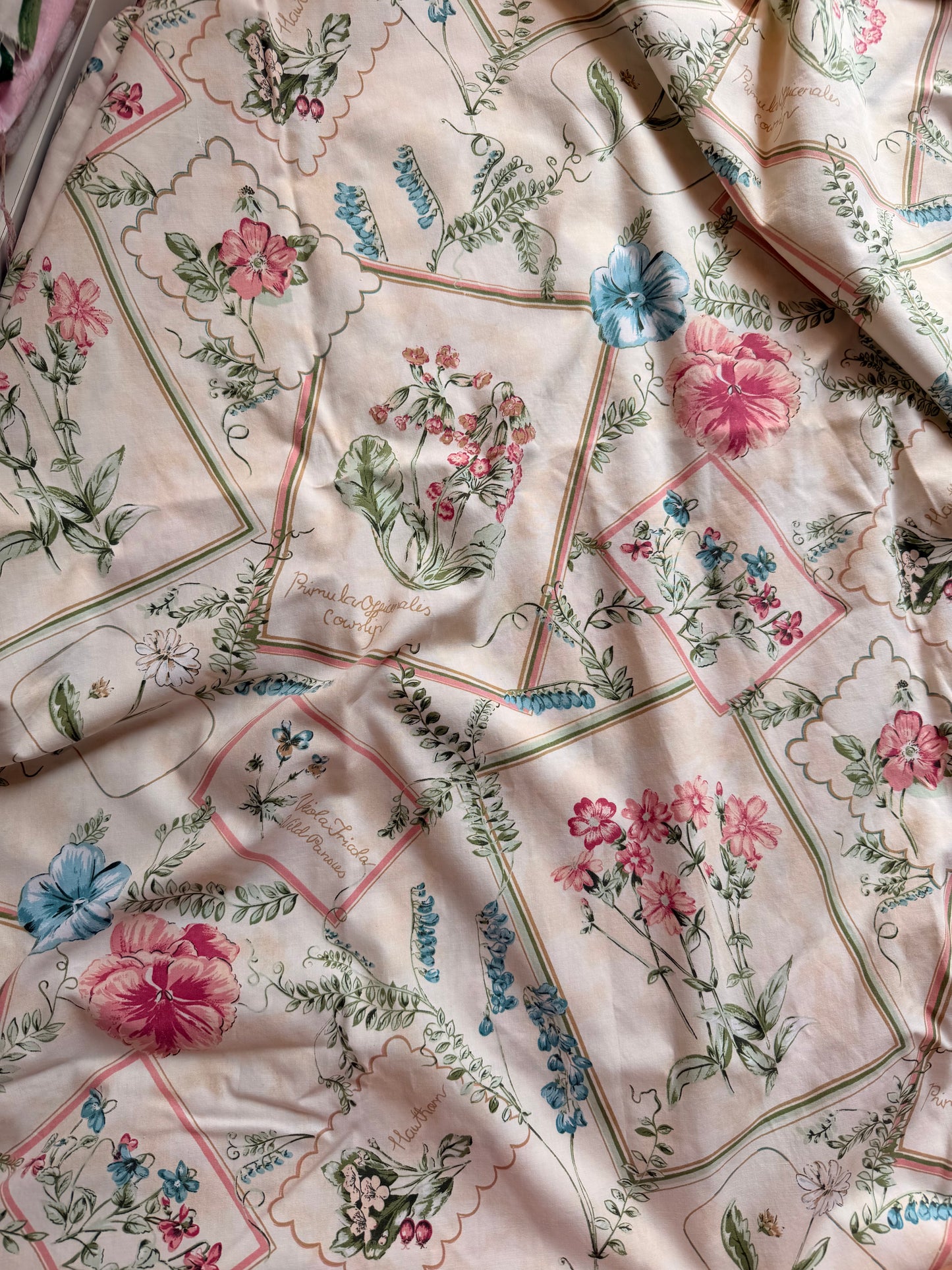 Fabric 423